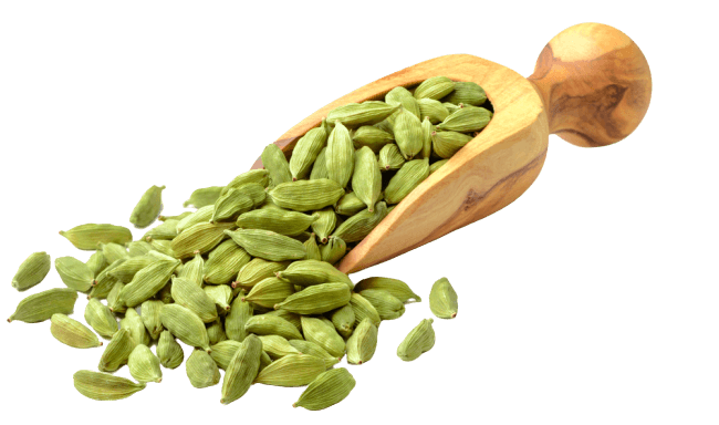 Cardamom