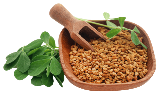 Fenugreek Seeds