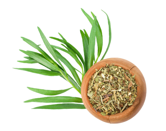 Tarragon
